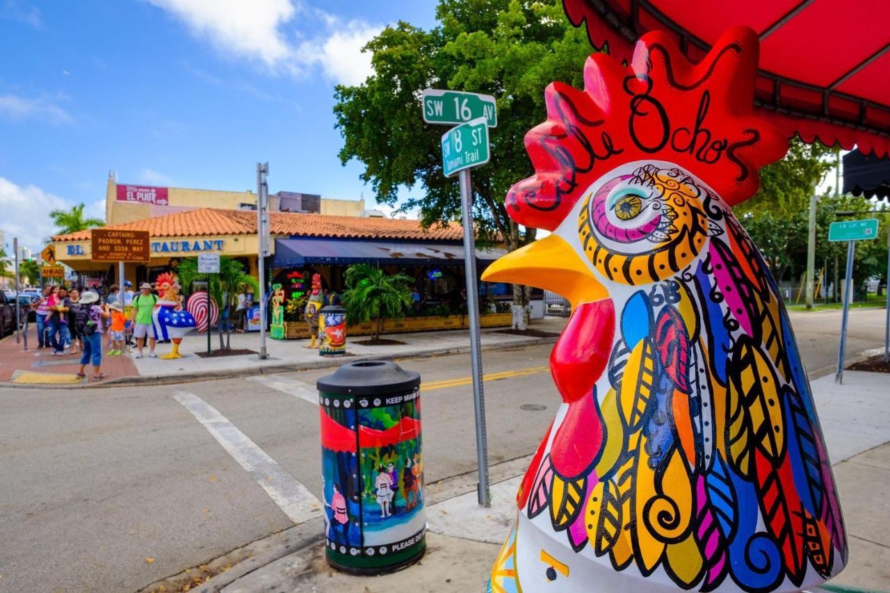 Cozy Room In The Heart Of Little Havana Miami Exteriör bild