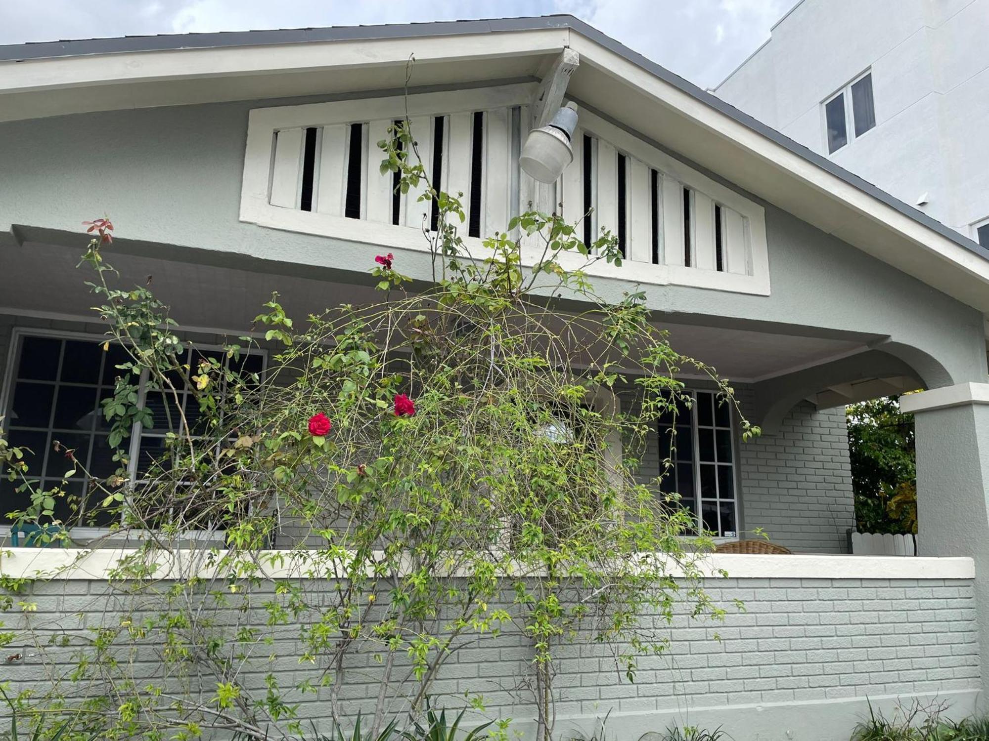 Cozy Room In The Heart Of Little Havana Miami Exteriör bild
